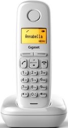 15623172303906-gigaseta170whitedect