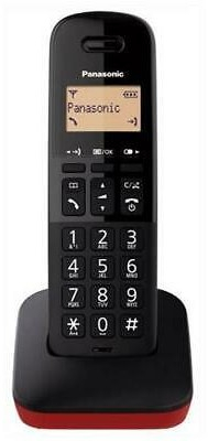 Panasonic