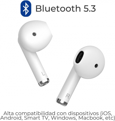 17153700075654-ztebuds2black