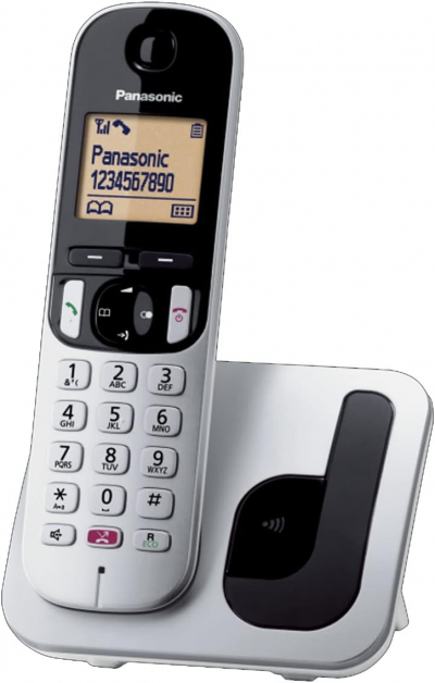 Panasonic