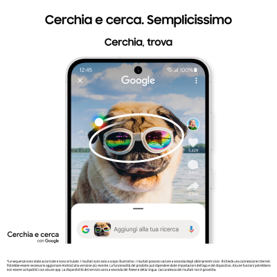 17419483878191-samsunggalaxys24fe5g8128gbgraphitedualsimgaranziaeuropanobrand