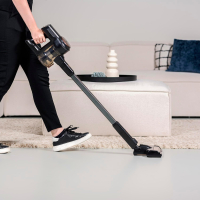 17691787980558-princessscoparicaricabilecorless220w0133939001001