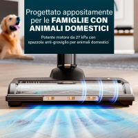 17701947906105-princessscoparicaricabilecorldessbldcultimatestormpet0133939501001